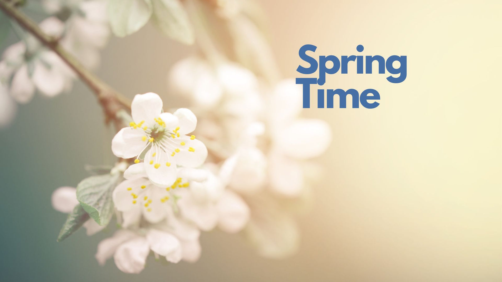 Essential Oils for Spring Wellness: Tackle Seasonal Challenges Naturally